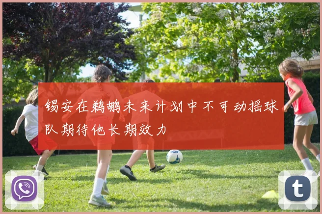 锡安在鹈鹕未来计划中不可动摇球队期待他长期效力
